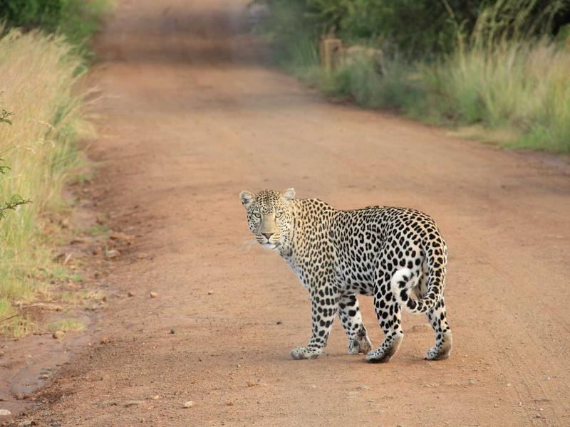 金瓶梅外史<br>qyo4ufag.cn 市井繁华录